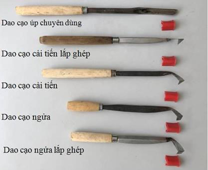 Lưỡi dao của TNQ